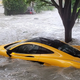 Image for article titled McLaren P1 Submerged By Hurricane Ian After a Week With New Owner